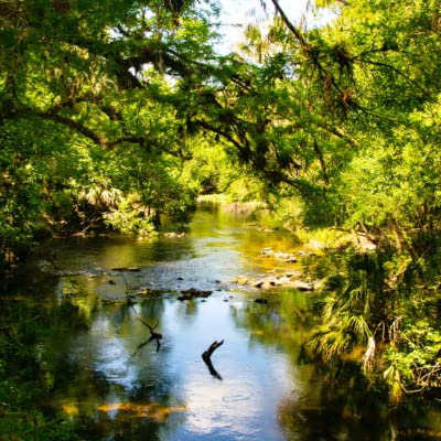 Release Stress and Lean Into Focus in 5 Minutes