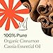 Plant Therapy USDA Certified Organic Cinnamon Cassia Essential Oil 10 mL (1/3 oz) 100% Pure, Undiluted, Cozy Aroma, Soothes Sore Muscle