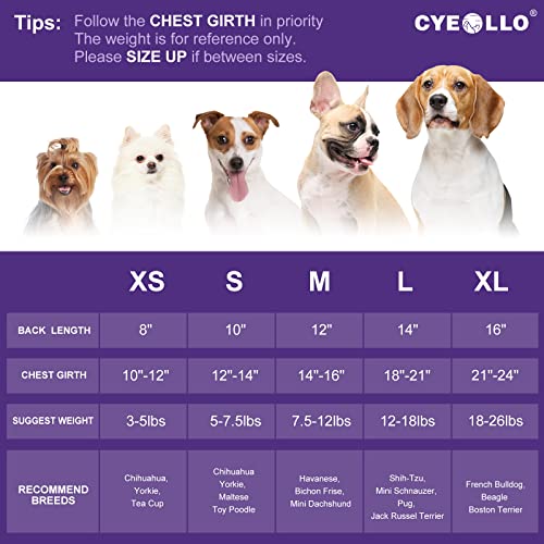 Cyeollo 2 Pack Dog Dress Tie Dye Soft Dog Clothes Stretchy Breathable Summer Dog Dresses For Small Dogs #TOP2