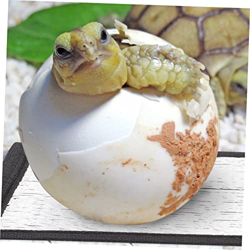 6 pads térmicos para reptiles, manta aislante para tortugas y serpientes miniatura 7