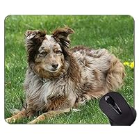 Alfombrillas For Lamer Perros Y Gatos, Alivian La Ansiedad | Meses Sin Interés