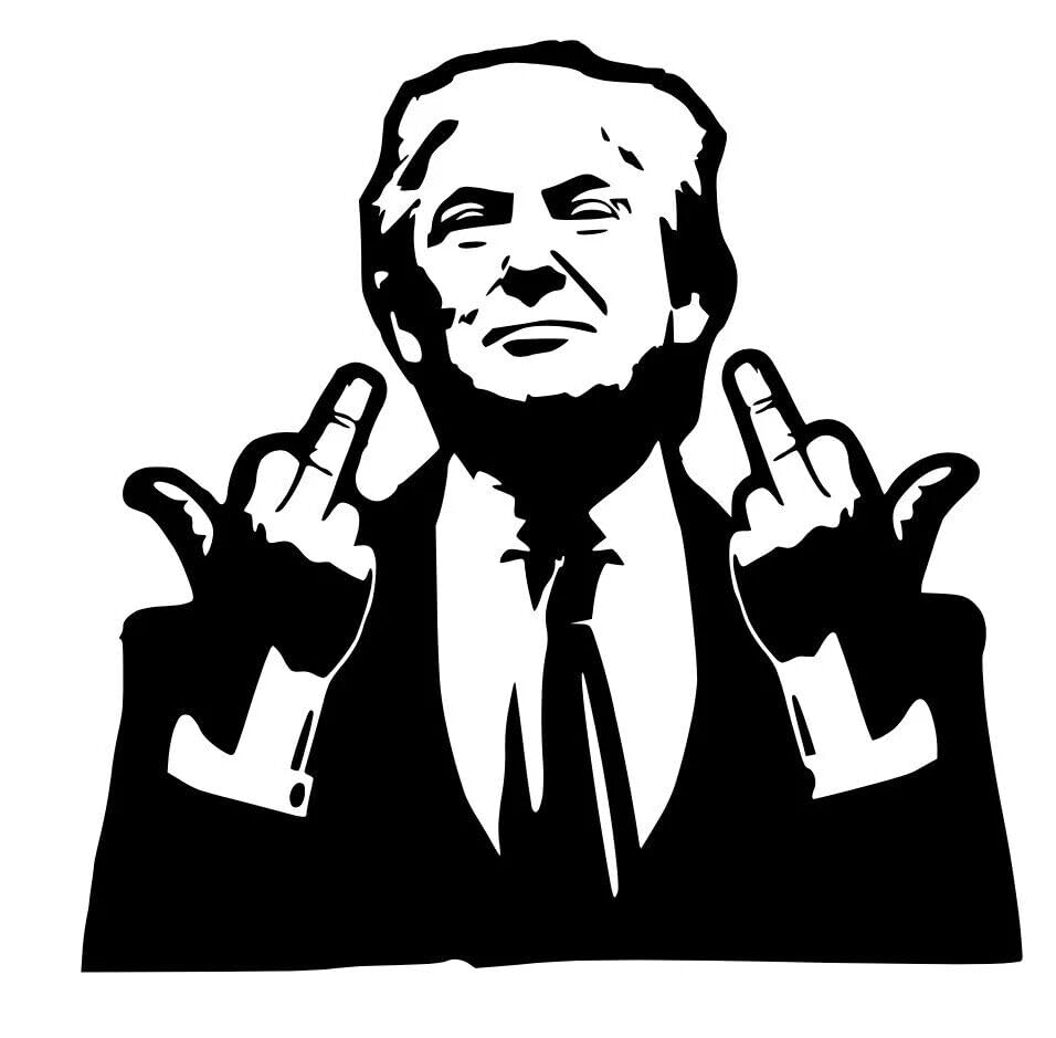 Autocollant Donald Trump Doigt d'honneur...