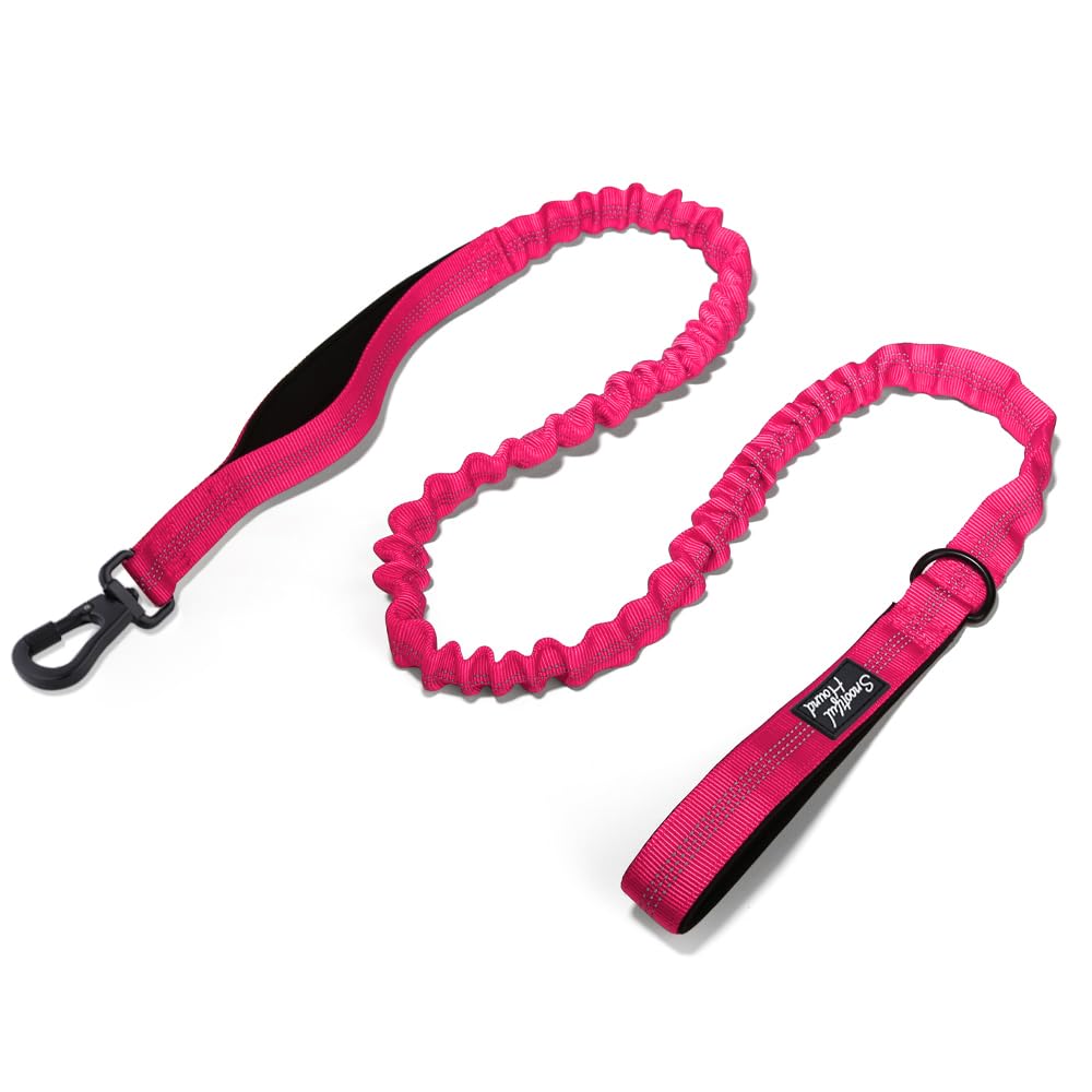 Snootiful Hound Secure Bungee Dog Lead With Locking Carabiner Clip, Double Handle Shock Absorbing Lead, Assorted Colours - Image 4