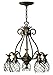 Hinkley Lighting 4885PZ Pearl Bronze 22x24.5 5-75w MED