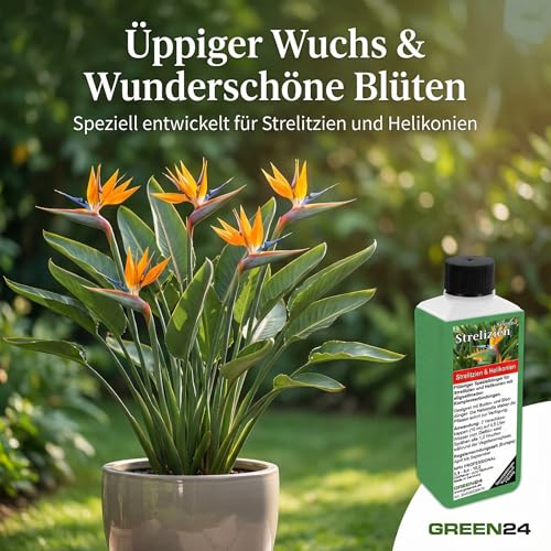 COMPO SANA Grünpflanzen- und Palmenerde mit 12 Wochen Dünger für alle Zimmer- und Balkonpflanzen sowie Palmen und Farne, Kultursubstrat, 10 Liter 3 COMPO SANA Grünpflanzen- und Palmenerde mit 12 Wochen Dünger für alle Zimmer- und Balkonpflanzen sowie Palmen und Farne, Kultursubstrat, 10 Liter – Bild 3