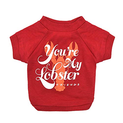 Friends the TV Show 'You're My Lobster' Dog T Shirt in Red | Soft Dog Shirt, Machine Washable Pull-Over Dog Tshirt, Light Weight & Semi-Stretch | Size X-Large for All Large Dogs