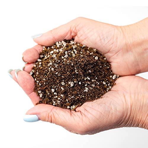 Gardenera Professional Carnivorous Plant Soil - Ready to Use for Venus Flytraps, Sundews, Pitcher Plants, Butterworts | Peat Moss, Coco Coir, Perlite - 20 Quart - Thumbnail 4