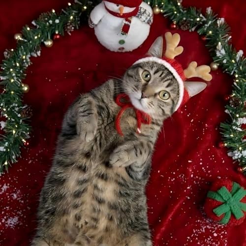 Cuernos navideños para perros y gatos, ajustables y antideslizantes miniatura 4