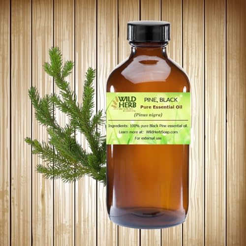 Aceite Esencial Puro de Pino Negro (1 OZ) miniatura 2