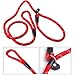 Pet Dog Nylon Adjustable Loop Slip Leash Rope Lead 1.2m