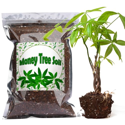 Doter Organic Money Tree Soil Mix 1qt, Indoor Plants Potting Mix for All Potted Money Tree, Grow...