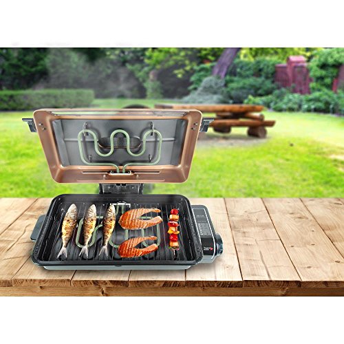 Nutrichef PKFG16 Electric Indoor Fish Grill Review Best Grill Reviews