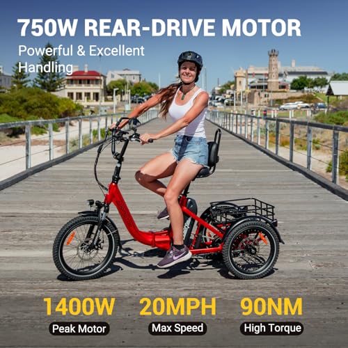 Electric Adult Drift Trike Motorized
