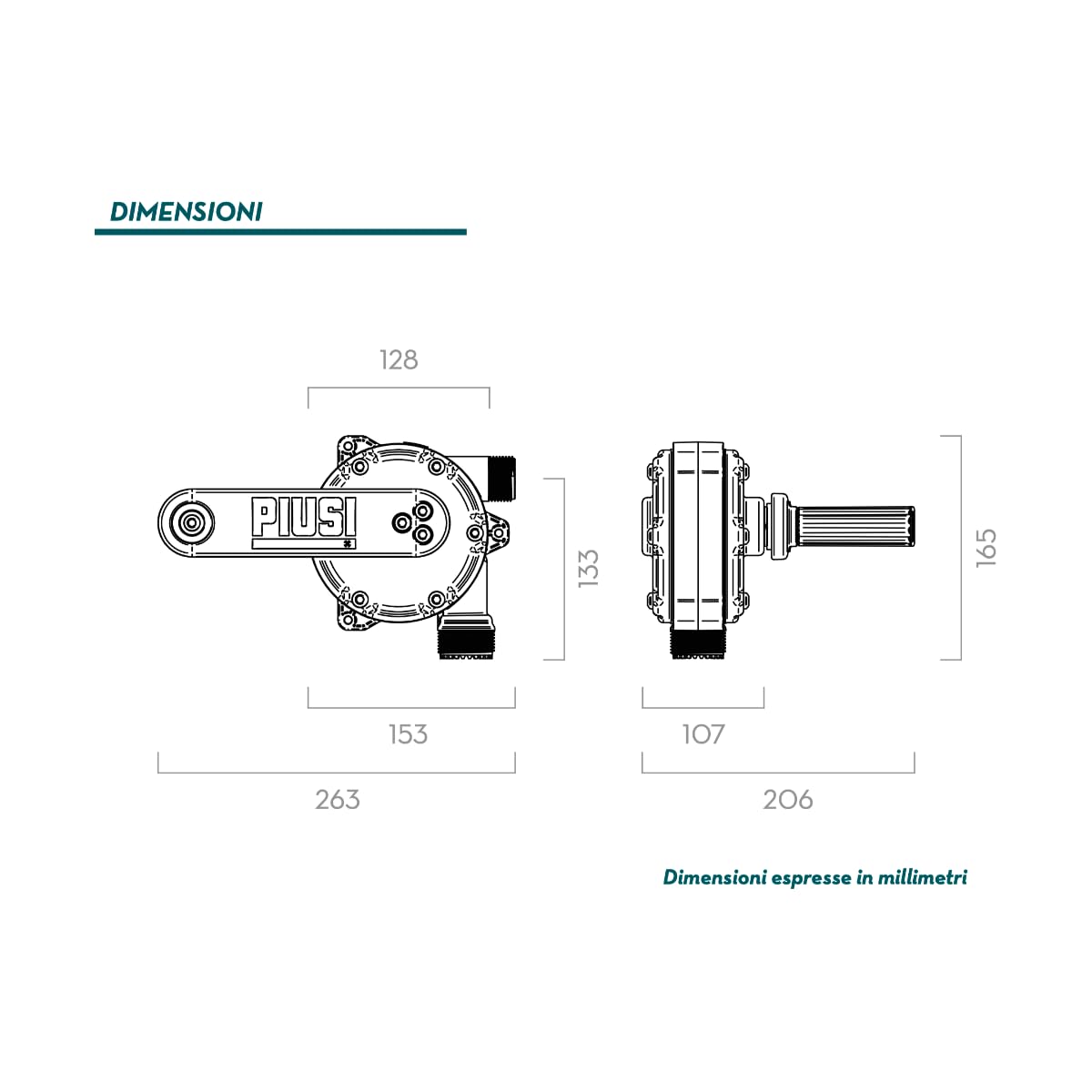 PIUSI Handkurbelpumpe für Diesel und Öl, Kapazität 38 Liter pro 100 Umdrehungen, 2" BSP Fassanschluss, Saugschlauch, 3m Ablaufschlauch | HANDPUMPE F0033252A