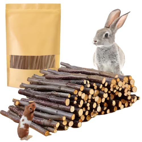 Sadaunbe 600g Organic Apple Sticks Small Animals Molar Wood Treats Toys for Chinchillas Guinea Pig Rabbits Hamster Gerbil Parrot Bunny Chew Stick Toys 21.2 OZ