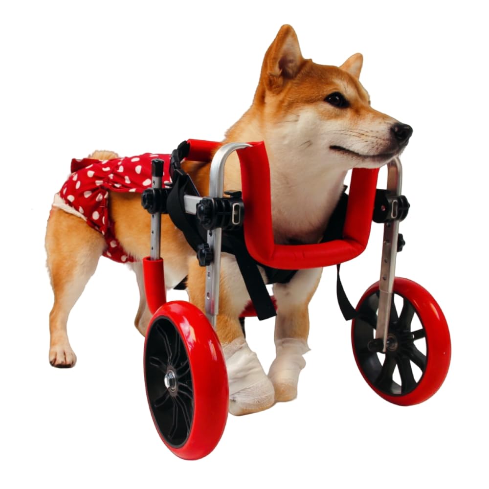 Amazon | 九万里の云前肢麻痺犬用車椅子ペットの前脚障害猫と犬の補助