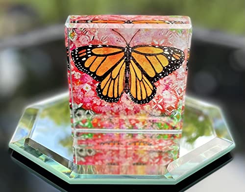 Blue Butterfly Creations 860008101273 Crystal Butterfly Paperweight Collectible Gift Monarch Orange Black thumb #3