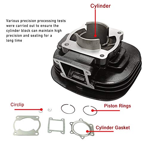 BLACKHORSE-RACING Cylinder Carburetor Piston Gasket Top End Kit Set Rebuild Kit Compatible with Yamaha Blaster 200 YFS200 1988-2006, Replaces# 2XJ-11311-02-00 5VM-14101-00-00