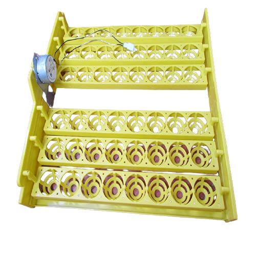 TM&W-for (HHD) chicken egg trays with egg turning motor will support for HHD 48/56 and 112 egg mini incubator (220/12V)- (48 Chicken egg trays for HHD)