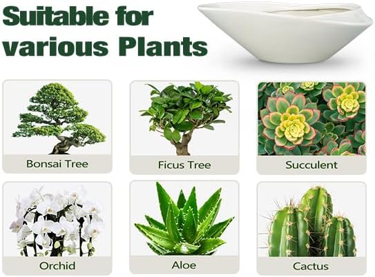 Miniatura 8 de Maceta de cerámica para bonsái de 18 pulgadas con orificio de drenaje, maceta grande esmaltada para plantas de interior y exterior, color gris