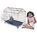 Kennel-Aire 