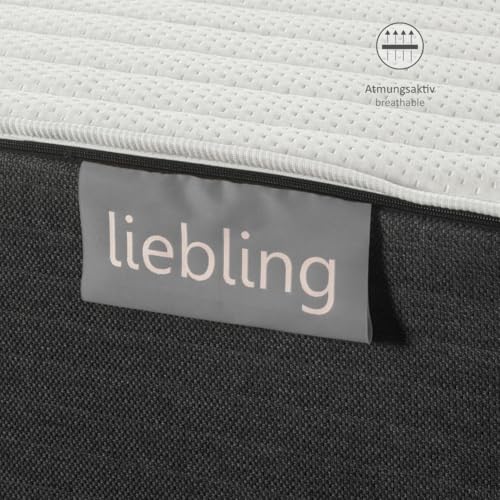 liebling XXXL 7-Zonen Kaltschaummatratze Mammut 30 cm Höhe mit Duo Härtegrad H2 / H3 90 x 200 cm, anthrazit