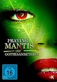 Praying Mantis - Die Gottesanbeterin