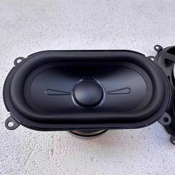 Naim oval track-shaped subwoofer long-stroke subwoofer driver unit 4 ohms 100W ?1PC?
