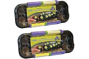 36mm Windowsill Greenhouse -- Pack of 2