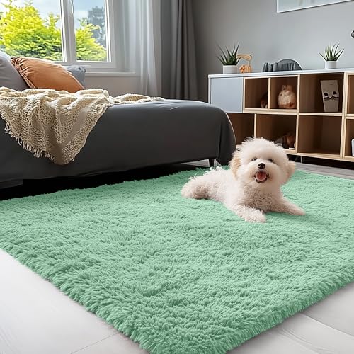 OLANLY 3x5 Machine Washable Small Bedside Rug, Soft Fluffy Shaggy Rugs for Living Room, Bedroom, Indoor Floor Carpet for Kids Girls and Boys, Preppy Dorms, Nursery, Home Decor Aesthetic, Mint Green