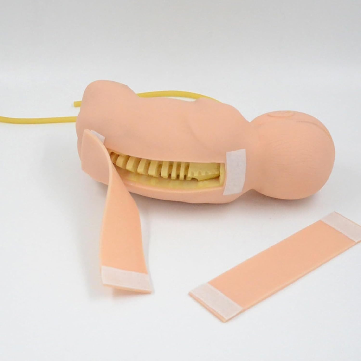 Simulatore di Puntura Lombare Neonatale A Grandezza Naturale, Modello di Pratica Neonatale per Medici, Infermieri E Studenti, Ausilio Realistico per La Formazione E Lo Flesh
