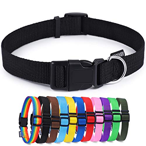 The Best Color Collar For Black Dog