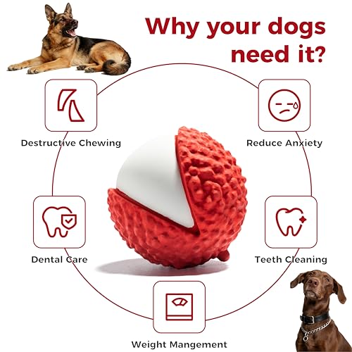Pelota Mordible Sónica para Perro MewaJump miniatura 2