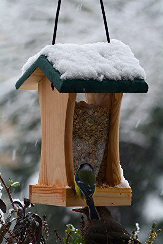 dobar® 90061FSCe Vogelfutterhaus Hängend - Kleines Vogelhaus Futtersilo - Futtersäule Massivholz - Futterstation für Wildvögel - Futterhaus für Garten/Terrasse/Balkon - 16 x 16 x 24 cm - Grün