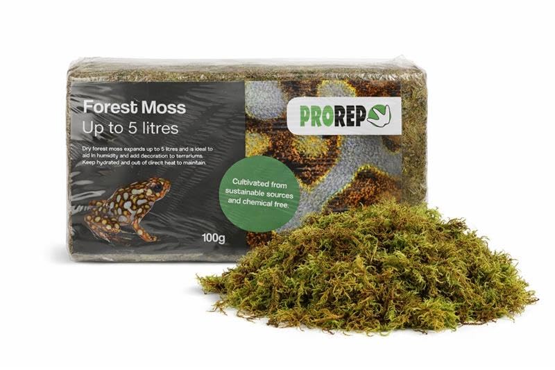 ProRep Forest Moss Bricks 100g | Reptile Moss Block | Expanding Terrarium Moss for Reptiles, Amphibians & Invertebrates | Natural, Sustainable Substrate for Vivariums & Decoration