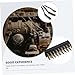 STOBAZA 5 Sets Wire Brush Small Wire Brush for Cleaning Assortment 7-inch Brass Industrial Strength