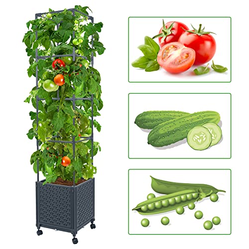 LINEX Raised Garden Bed Planter Box with Trellis, 56.7” Tomato Planters for Climbing Plants Vegetable Vine Flowers Outdoor Patio, Tomatoes Cage w/Self-Watering & Wheels - Image 3