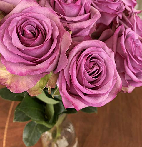 Farm Direct Fresh Lavender Roses | 12 Fresh Roses Lavender Rose Bouquet (Dozen) + Vase Included - Fresh Flowers Roses For Delivery #TOP4