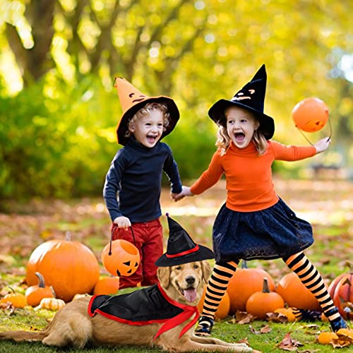 Cane Halloween Costumes,Cane Gatto Vampiro