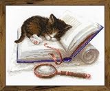 Anchor mouline algodón Riolis – Gatito en el Libro – Juego de Punto de Cruz, algodón, Multicolor, 30 x 24 cm