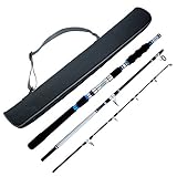 Berrypro 3-Piece Spinning Rod Heavy Spinning Fishing Rod Portable Fishing Rod Graphite Spin Rod (Silver 6'6'')
