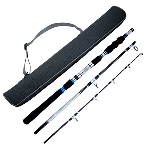 BERRYPRO 3-Piece Spinning Rod Heavy Spinning Fishing Rod Portable Fishing Rod Graphite Spin Rod (Silver 6'6'')