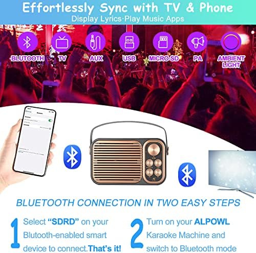 ALPOWL Mini karaoke Black One Pack