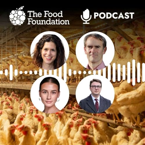 Fowl play? The UK's insatiable appetite for chicken