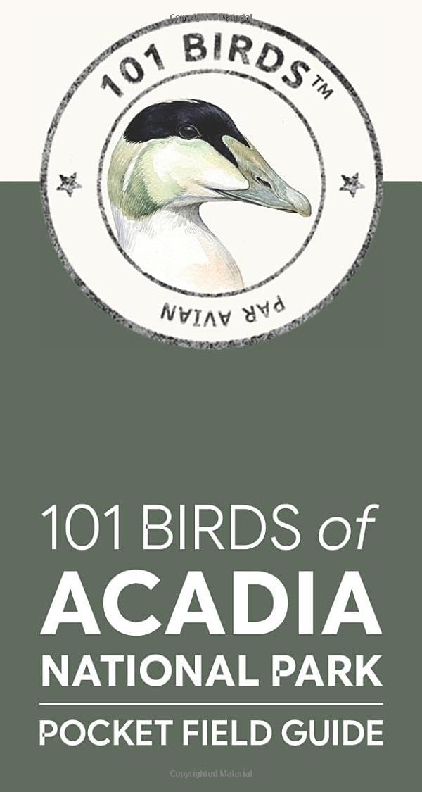 101 Birds of Acadia National Park: Pocket Field Guide (101 Birds Pocket Field Guides)