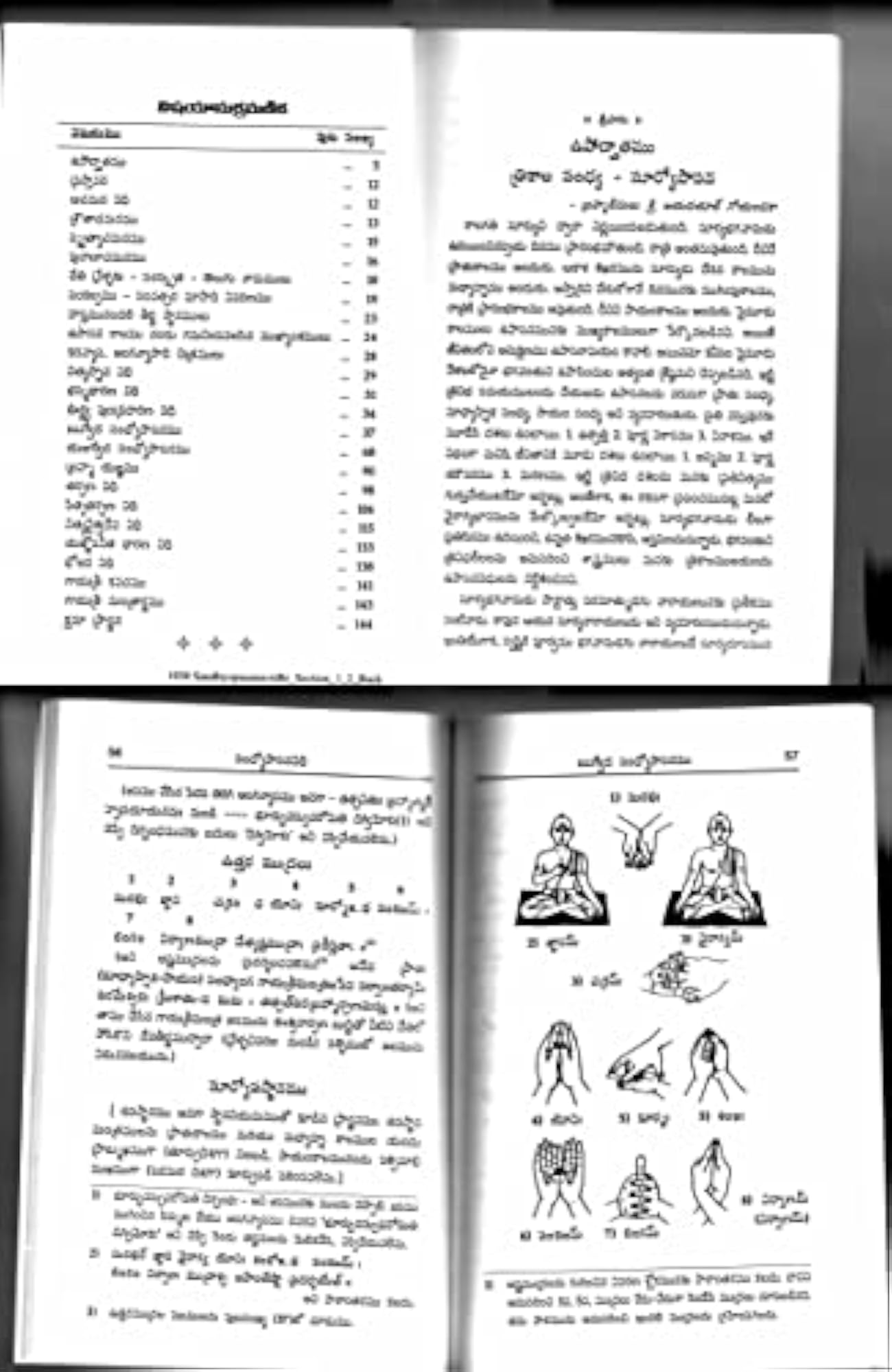 SANDHYOPASAN VIDHI in Telugu