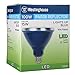 Westinghouse Flood Outdoor Weatherproof LED Light Bulb with Medium Base