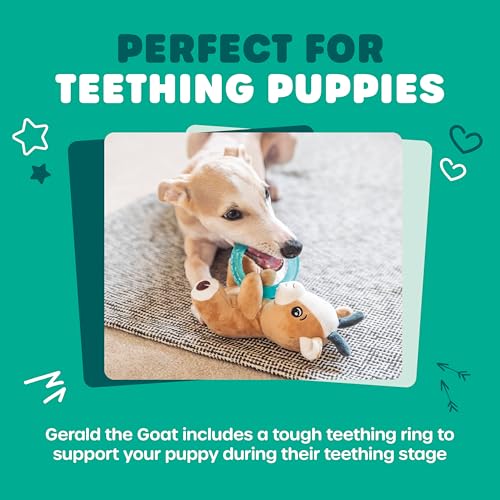 Webbox Gerald the Goat - Plush & Squeaky Dog Toy with Puppy Teething Ring, White with Brown - Image 3