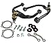 SPC Performance 03-08 Nissan 350Z/03-07 Infiniti G35 Front Adjustable Control Arms