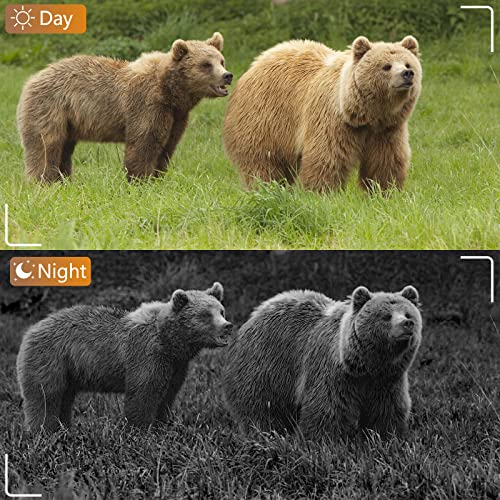 BLAZEVIDEO Wildlife Camera WIFI Bluetooth with App, 32MP 1296P Game & Trail Cameras with 120°Motion Sensor, 36pcs IR LEDs Night Vision Hunting Camera, IP66 Waterproof animal cameras for outdoors - Image 8